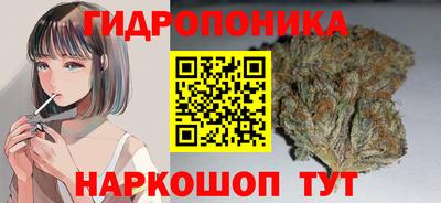 прущие крисы Лесосибирск