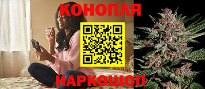 прущие крисы Лесосибирск