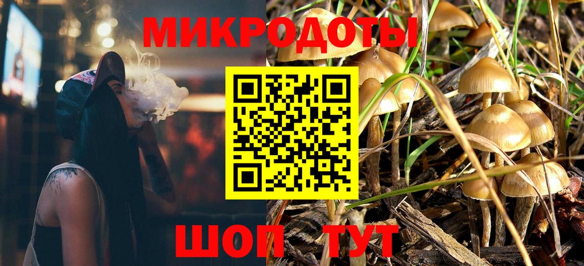 Псилоцибиновые грибы прущие грибы Дзержинский